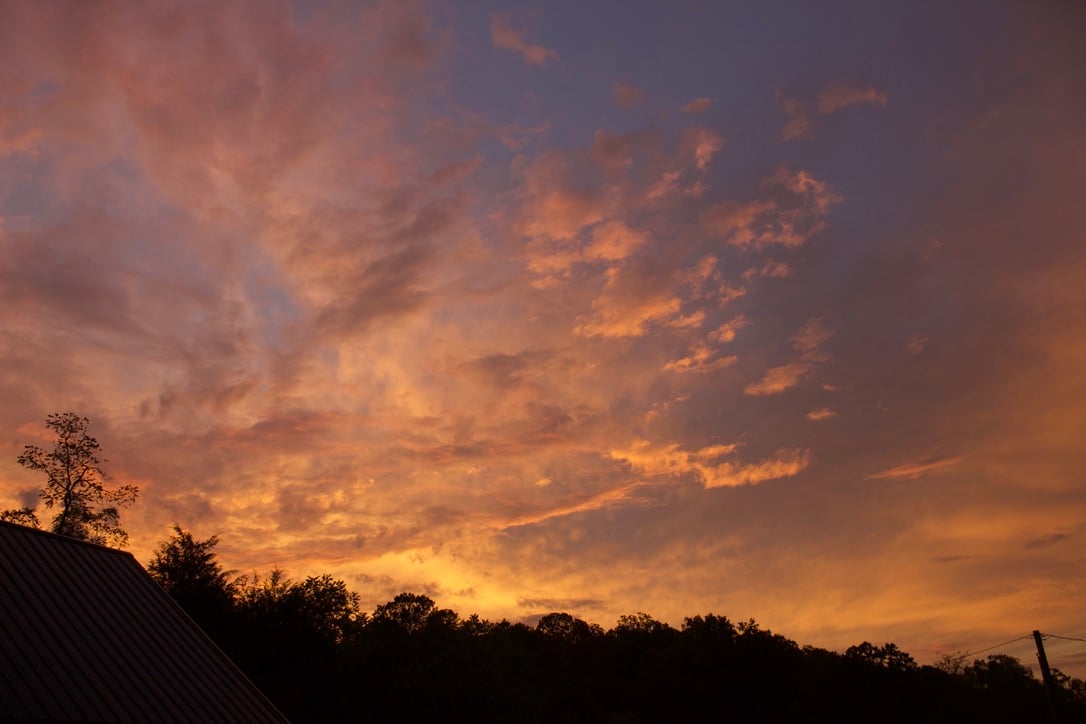 DDA0915D-3DB7-455B-B422-D425692D49A5_1_105_c