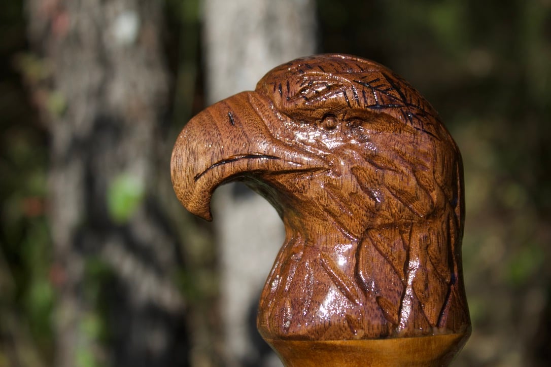 B2C6A8F1-5828-4625-BE07-7A3127A2C205_1_105_c