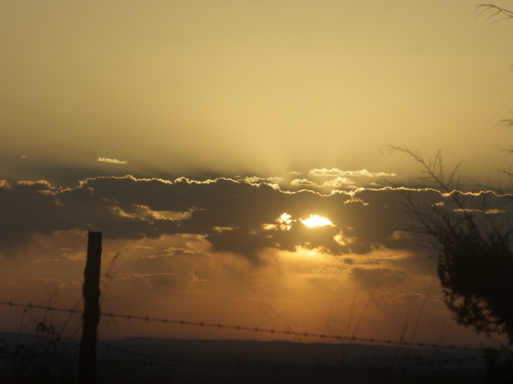 2132FAFE-6AA1-431F-B17C-5984CED7AB6D_1_105_c