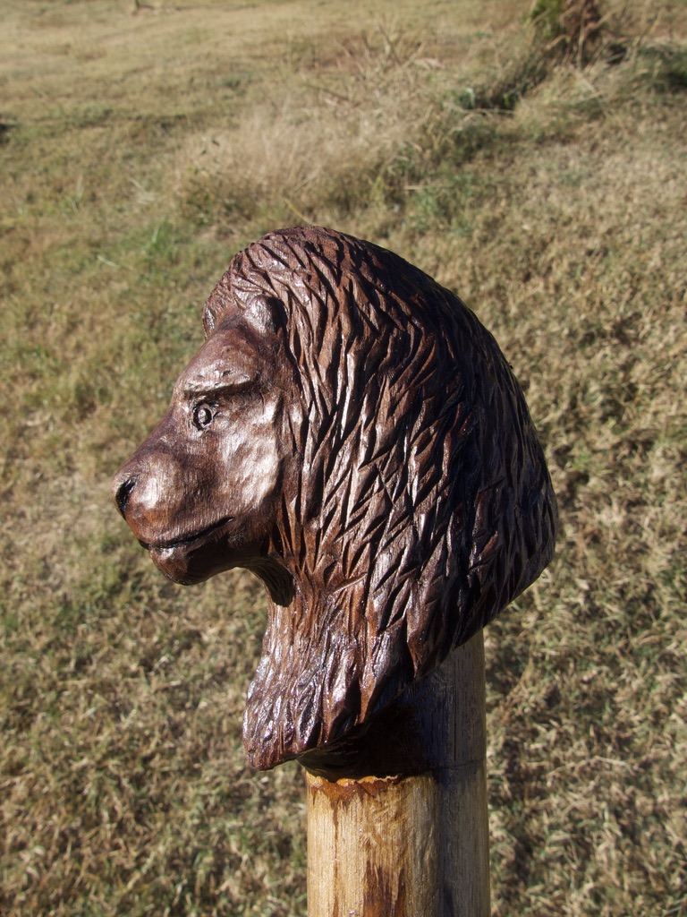 5B9F3748-100B-411A-B15E-5C164F05C3AD_1_105_c