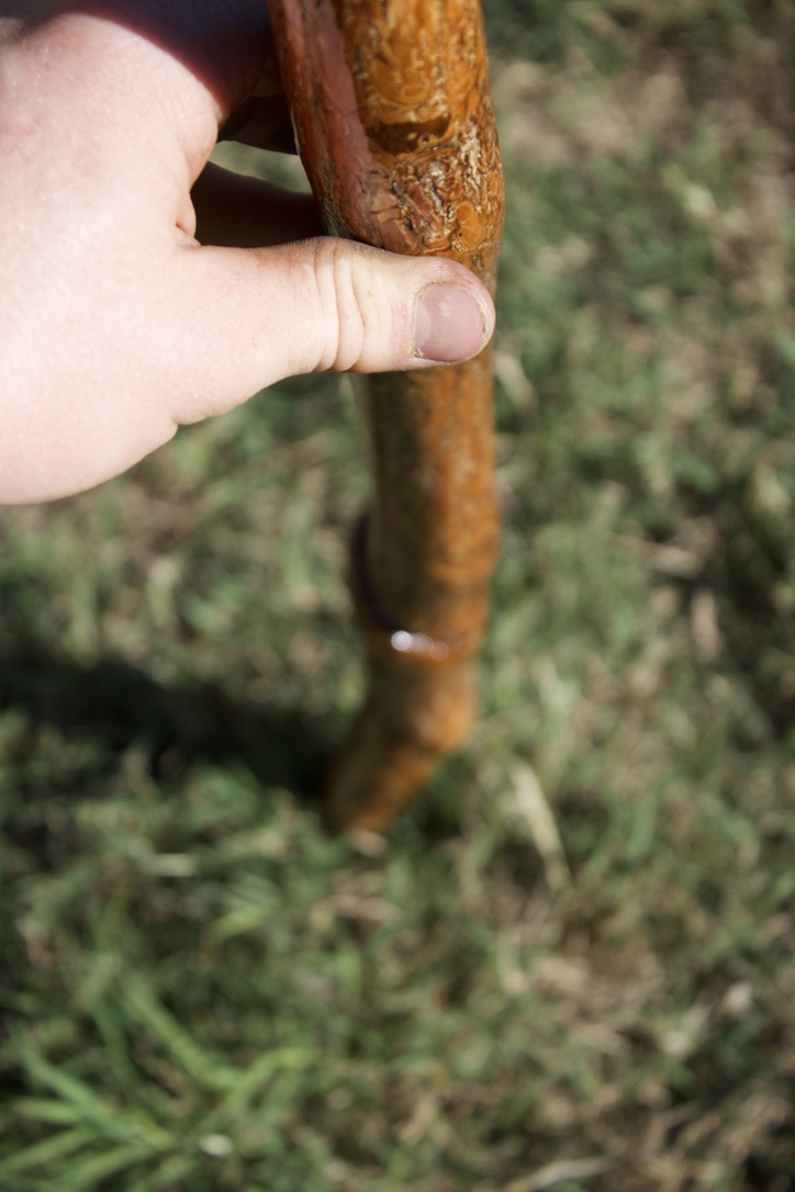 DE31F9A8-63C7-457F-9347-BF0ECA4A1FEC_1_105_c