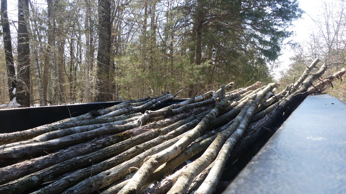 F36EBC1C-F1B8-4607-A080-8088E334B47C_1_105_c F36EBC1C-F1B8-4607-A080-8088E334B47C_1_105_c